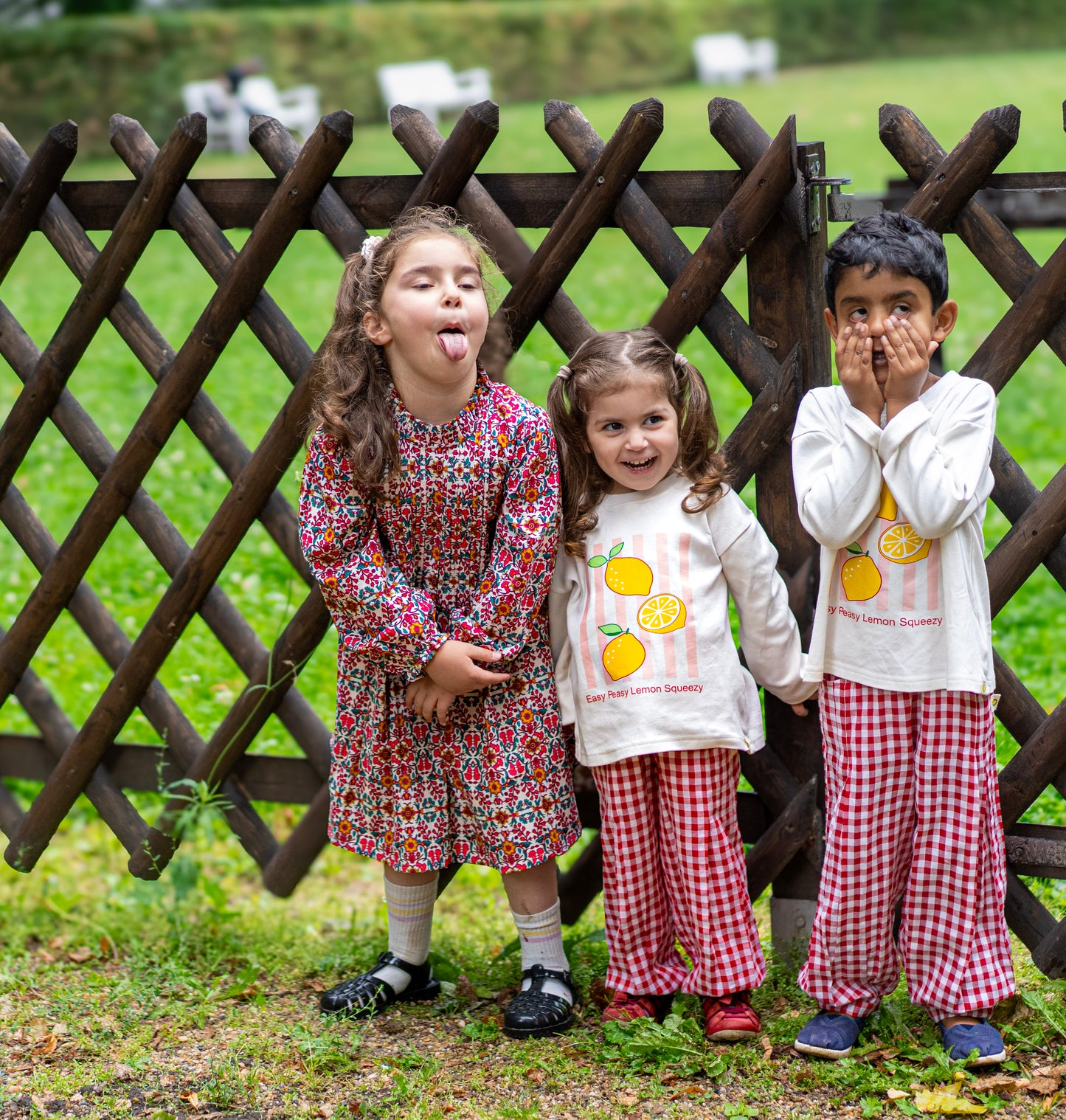 The Lemon Picnic Set