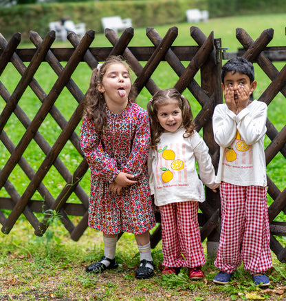 The Lemon Picnic Set